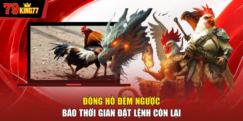 Đá gà - Đồng hồ đếm ngược báo thời gian đặt lệnh còn lại