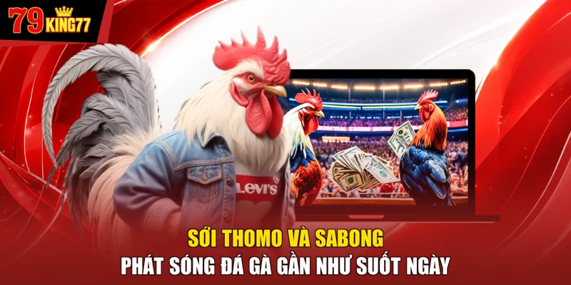 Sới Thomo và Sabong phát sóng đá gà gần như suốt ngày